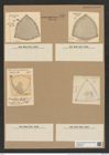 Triceratium robertsianum Grev. (de-Toni-Nr.: Genus 140, Species 3713) Zeichnungen Sammlung Grunow Nr. 7197 (NHMW-BOT-W0376183)